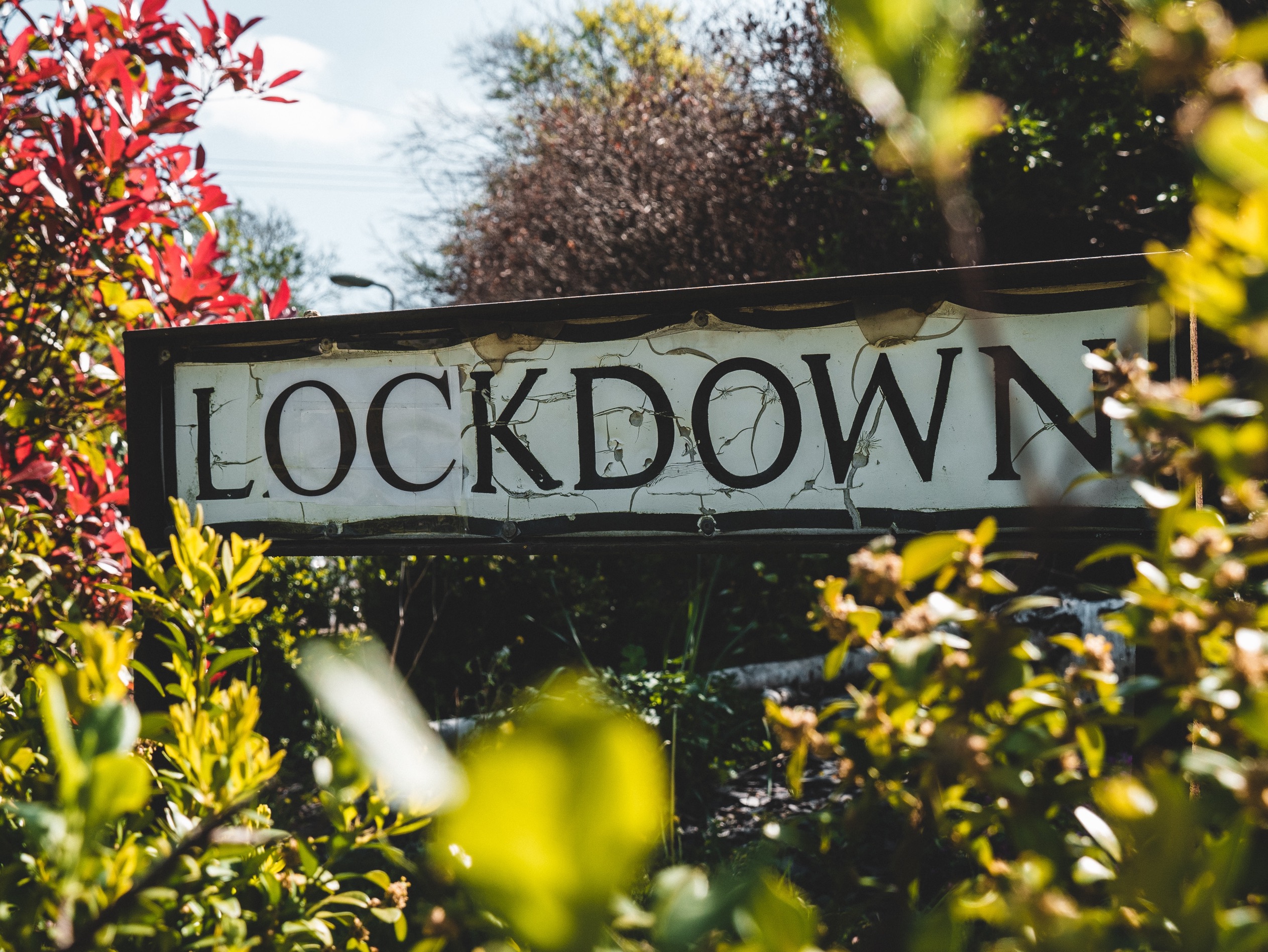 A street sign saying Lockdown. Photo by Matt Seymour on Unsplash