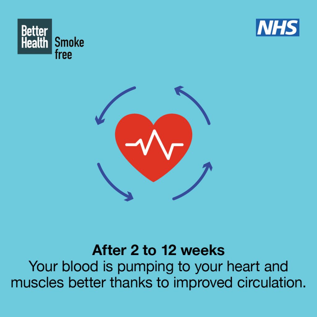 After 2 to 12 weeks
Your blood is pumping to your heart and muscles better thanks to improved circulation.